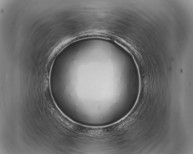 X0000085001363200703191039