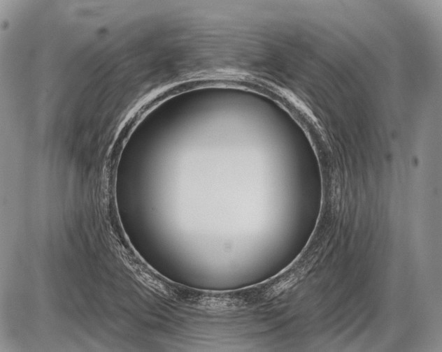 X0000085001364200703191039