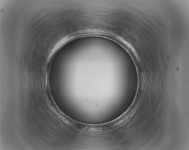 X0000085001365200703191039