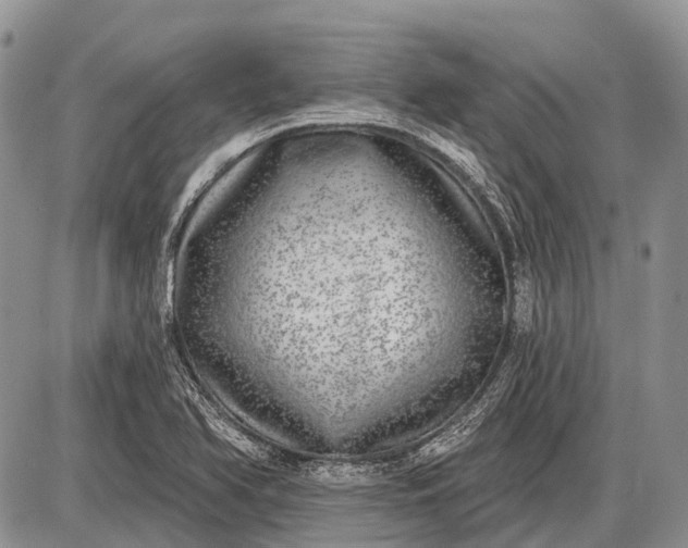 X0000085001366200703191039