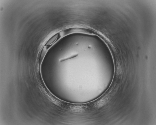 X0000085001367200703191039