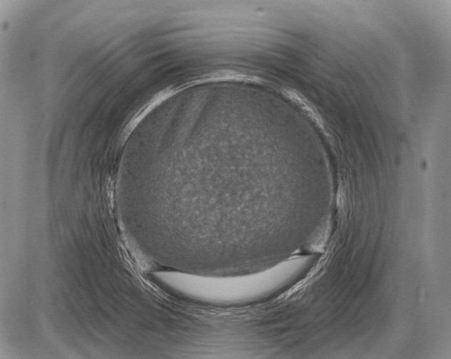 X0000085001369200703191039