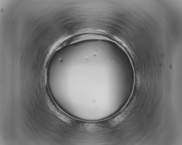 X0000085001371200703191039