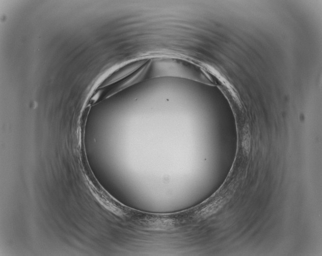 X0000085001372200703191039