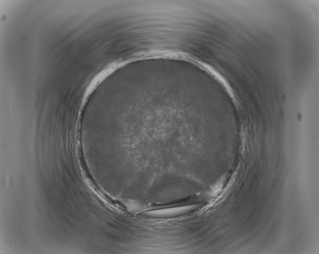 X0000085001373200703191039