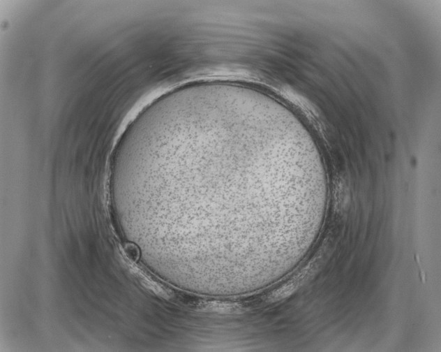 X0000085001374200703191039