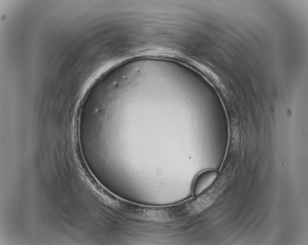 X0000085001375200703191039