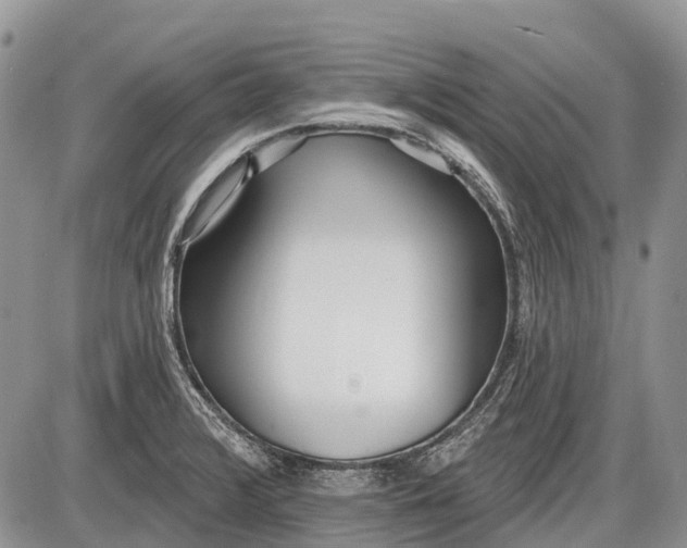 X0000085001376200703191039