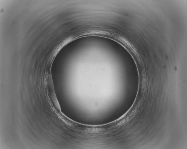 X0000085001377200703191039