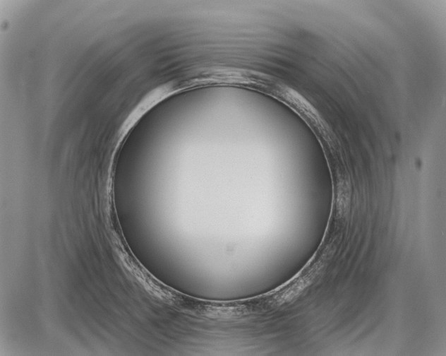 X0000085001378200703191039