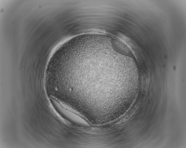 X0000085001379200703191039