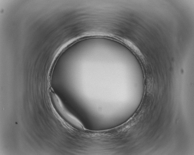 X0000085001380200703191039