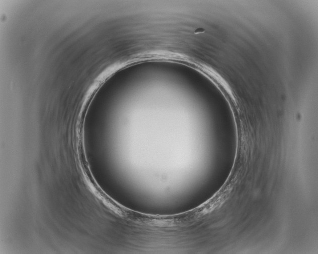 X0000085001381200703191039