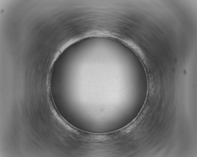 X0000085001382200703191039