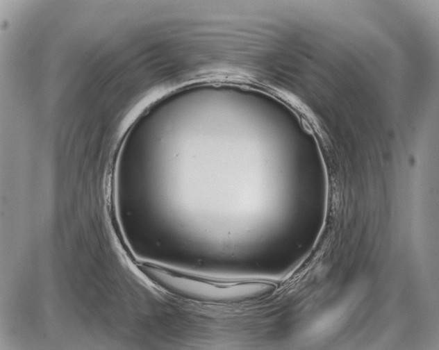 X0000085001383200703191039