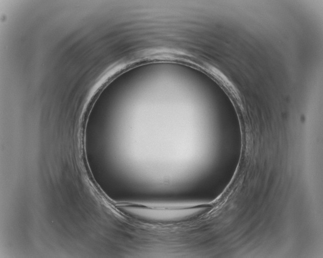 X0000085001384200703191039