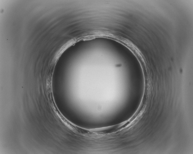 X0000085001385200703191039