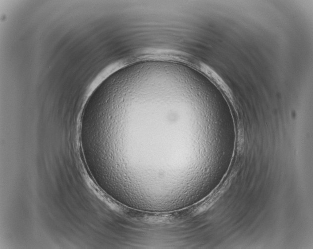 X0000085001386200703191039