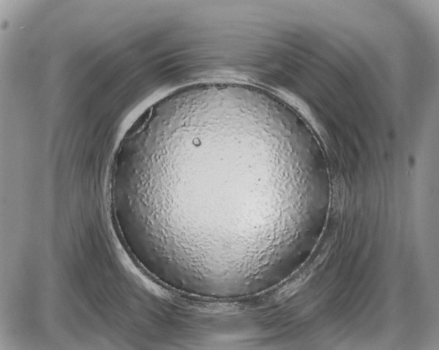 X0000085001387200703191039