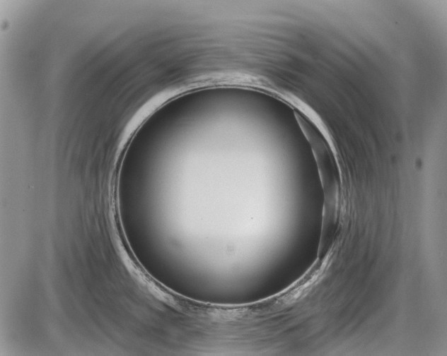 X0000085001389200703191038