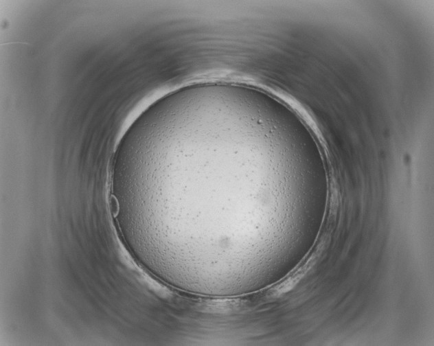 X0000085001390200703191038