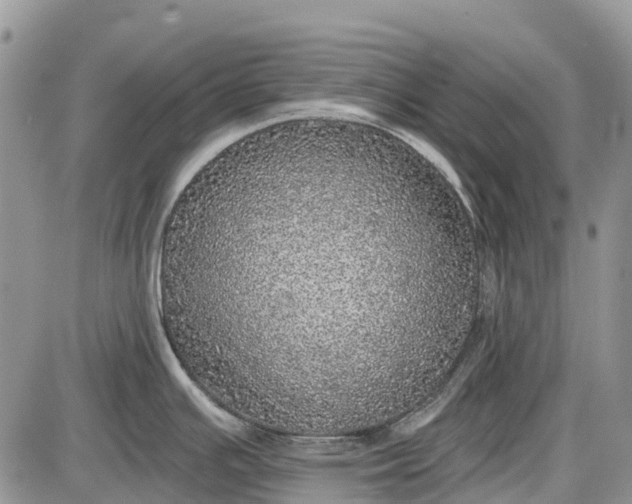 X0000085001391200703191038