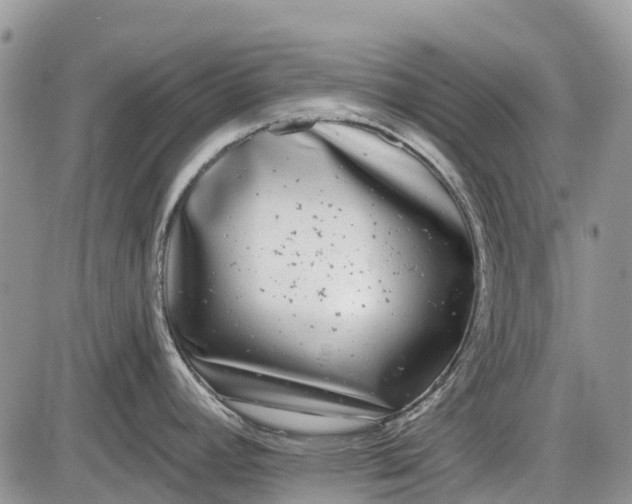 X0000085001392200703191038