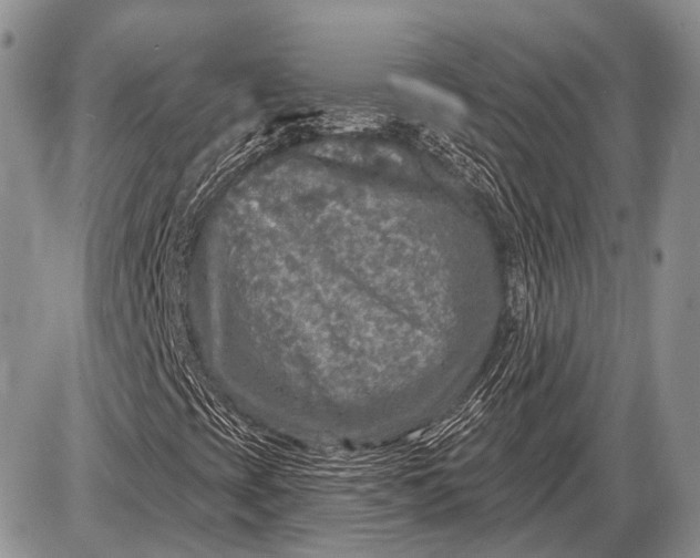 X0000085001393200703191038