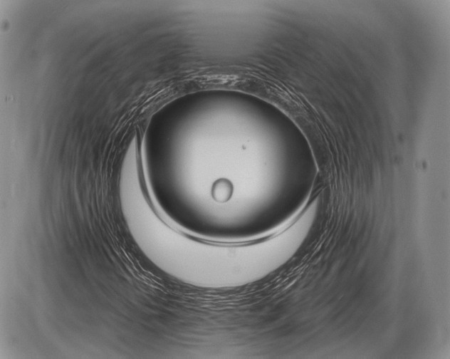 X0000085001394200703191038