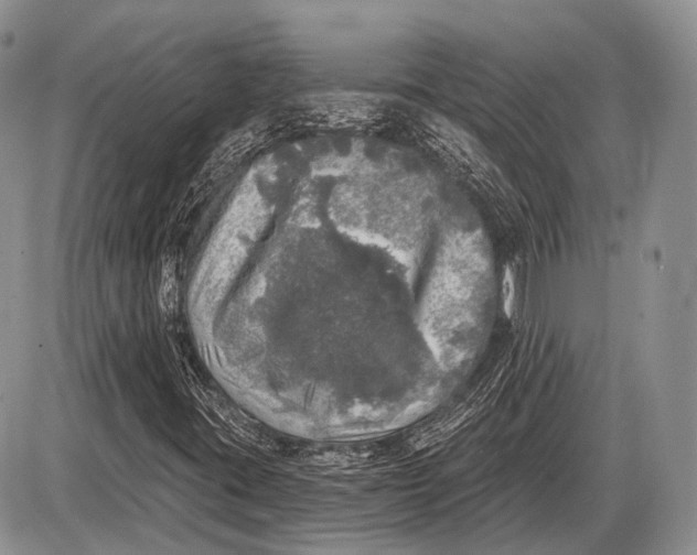 X0000085001395200703191038