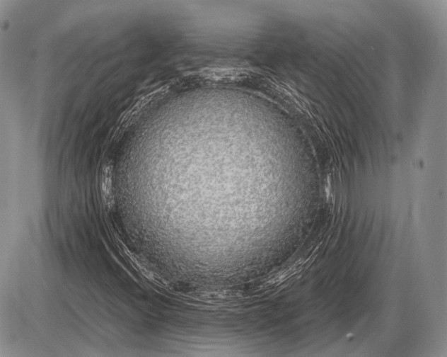 X0000085001396200703191038