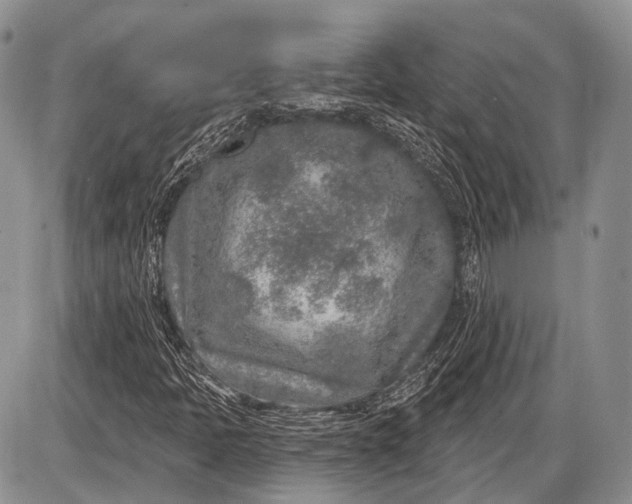 X0000085001397200703191038