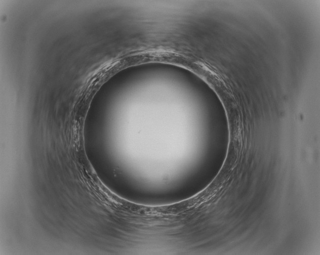 X0000085001398200703191038