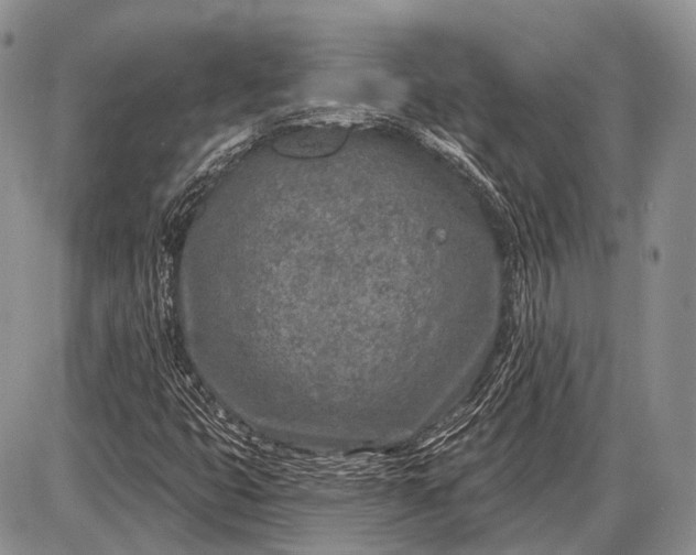 X0000085001399200703191038