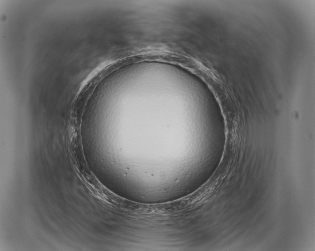 X0000085001400200703191038