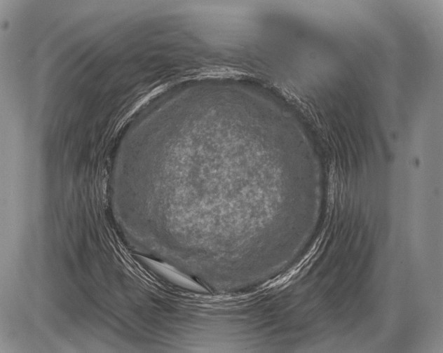 X0000085001401200703191038