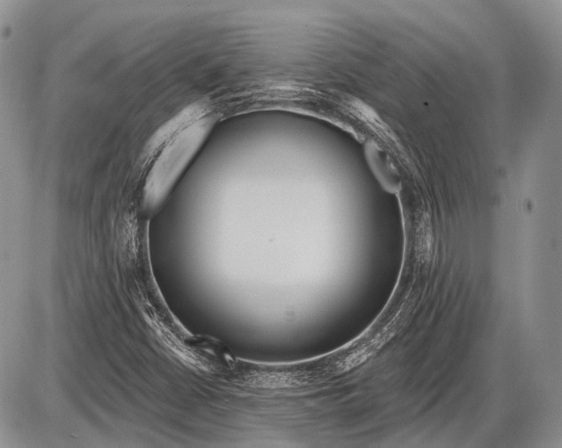 X0000085001402200703191038