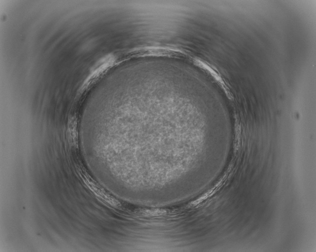 X0000085001403200703191038