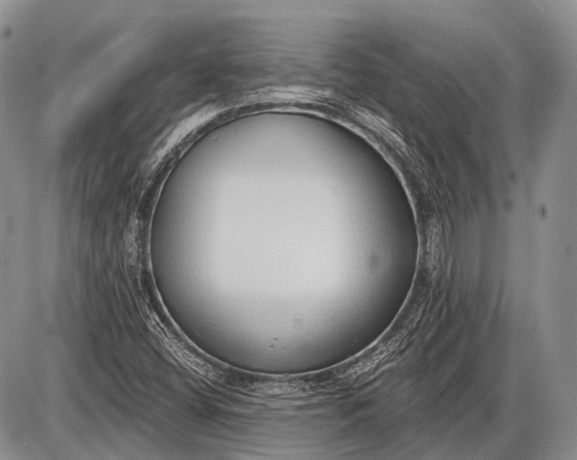 X0000085001404200703191038