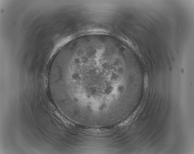 X0000085001405200703191038