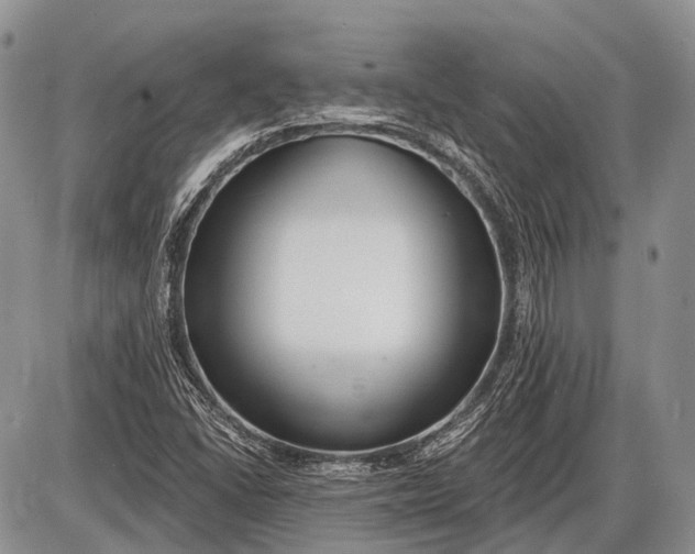 X0000085001406200703191038