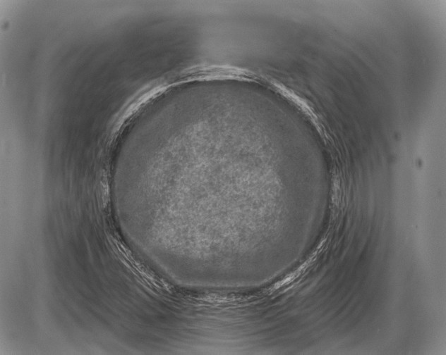 X0000085001407200703191038