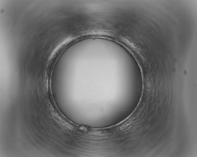 X0000085001408200703191038