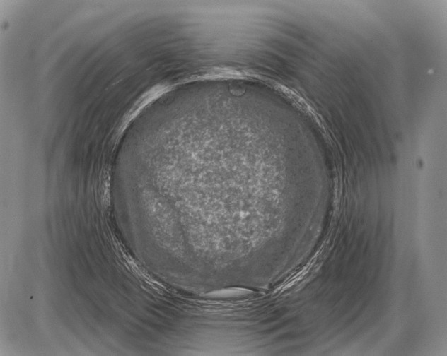 X0000085001409200703191038