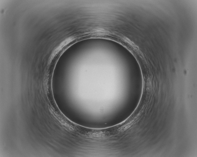 X0000085001410200703191038