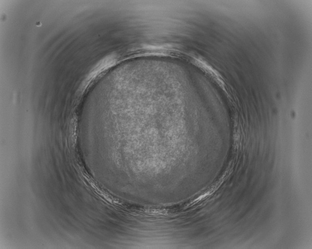 X0000085001411200703191038