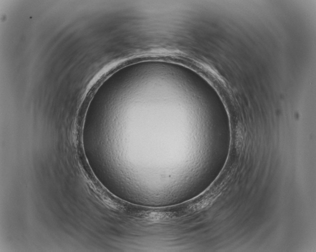 X0000085001412200703191038