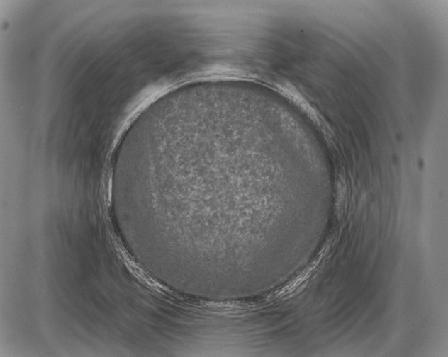 X0000085001413200703191038