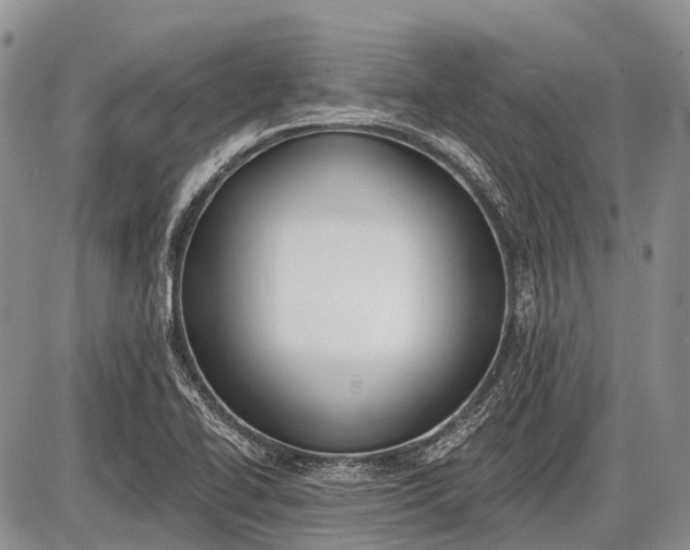 X0000085001414200703191038