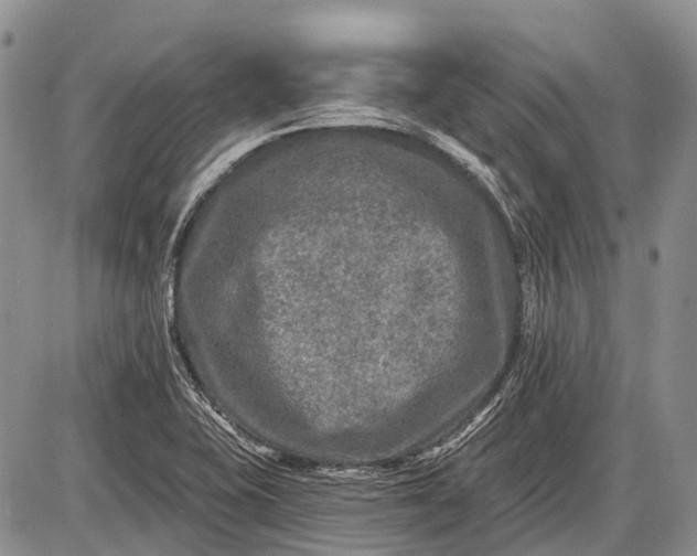 X0000085001415200703191038